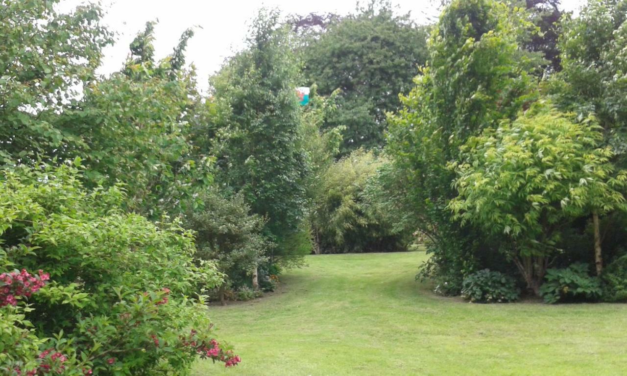 Beech House Bed and Breakfast Greystoke Exteriör bild